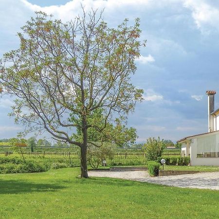 Casa di Mamy Villa Sant'Elena di Silea Bagian luar foto